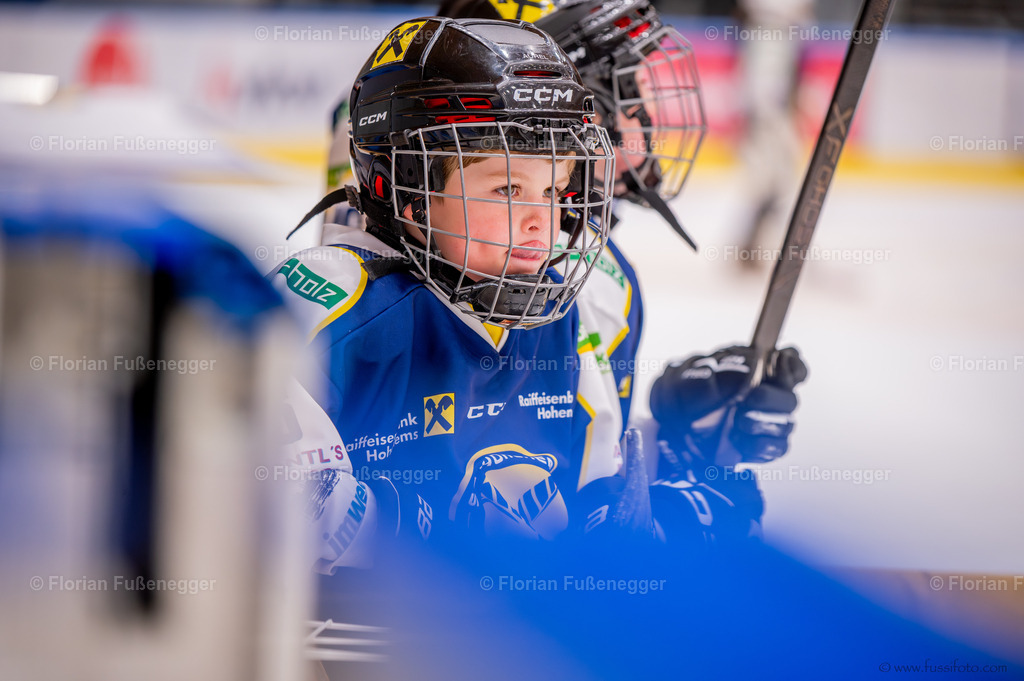 DSC_6744 | "Fussifoto.com – Ihr Ansprechpartner für hochwertige Fotografie! Entdecken Sie kreative Bilder und professionelle Dienstleistungen. Kontaktieren Sie uns für Ihre Projekte!"