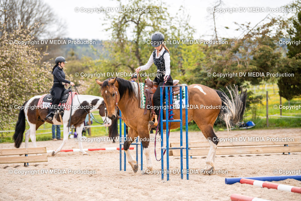 Balingen Tag 2-365 | dv-media-shop - Realisiert mit Pictrs.com