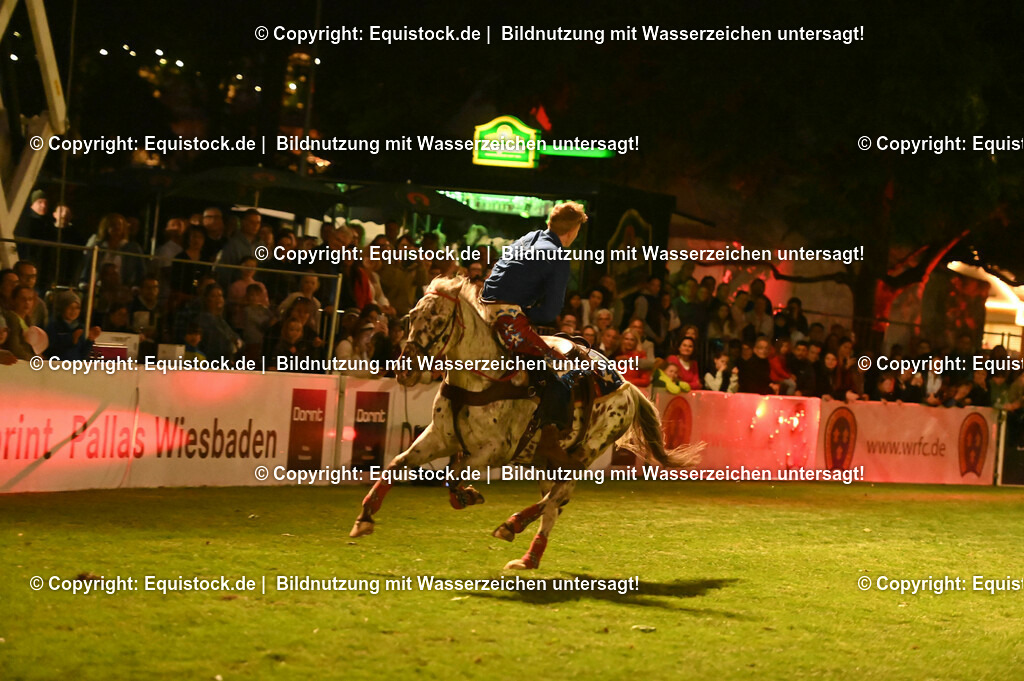20230526_Pferdenacht_1184 | equistock