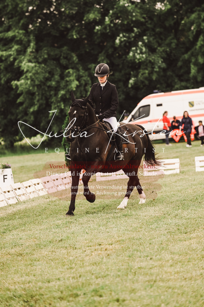 DSC_5092 | Pferde- und Turnierfotografie in Westsachsen. Pferdeportraits, Auftragszeichnungen und intuitive Kunst.