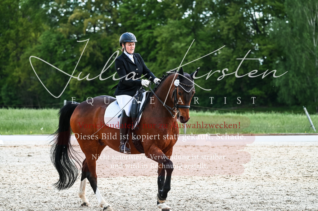 20230513_JK-Röhrsdorf-10-0922 | Pferde- und Turnierfotografie in Westsachsen. Pferdeportraits, Auftragszeichnungen und intuitive Kunst.