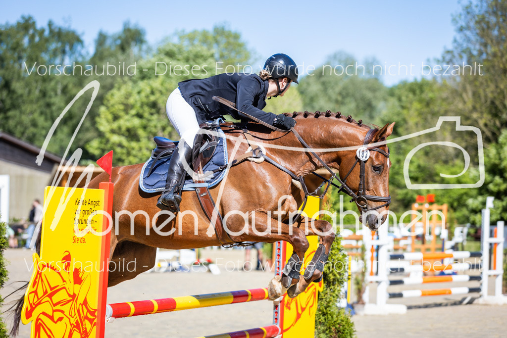 Donop24-A2Spr-004 | MomenTaufnahmen Pferdesportfotos