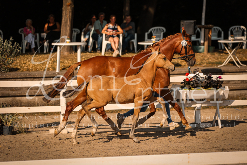 11.DoRP00143 | Leoni Ertmer Photography - Realisiert mit Pictrs.com