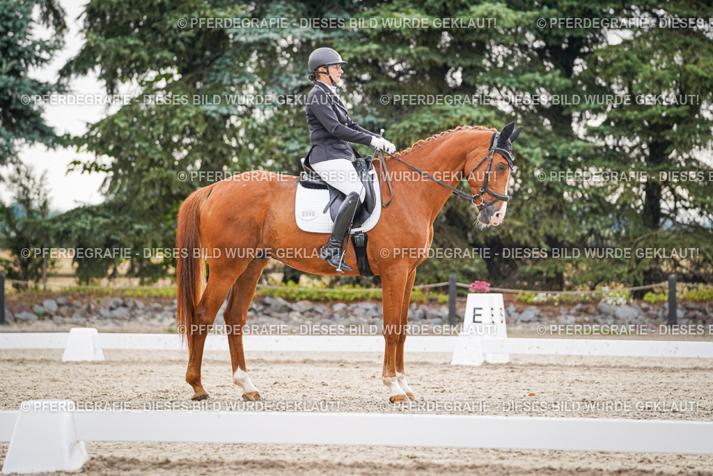 DSC00224 | Pferdegrafie