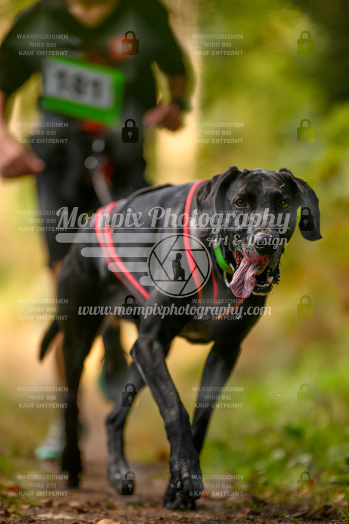MompixPhotography_Yens2025_B3-235 | PayLife