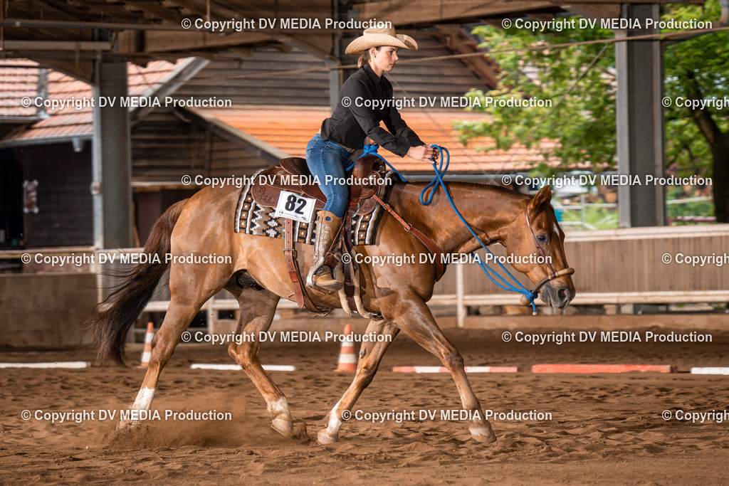 Erbach Tag 2-256 | dv-media-shop - Realisiert mit Pictrs.com