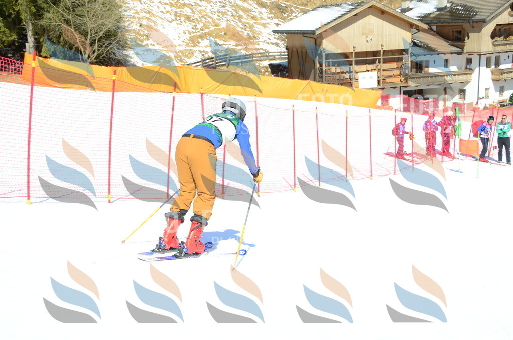 C6705 | holidayphoto