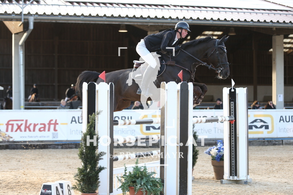 AS8V4114 | Willkommen bei Brunnmayr - Design & Fotografie – Ihrem Spezialisten für Reitturniere und Pferdeveranstaltungen in Oberösterreich, Salzburg und Bayern! Seit über 17 Jahren sind wir leidenschaftlich dabei.