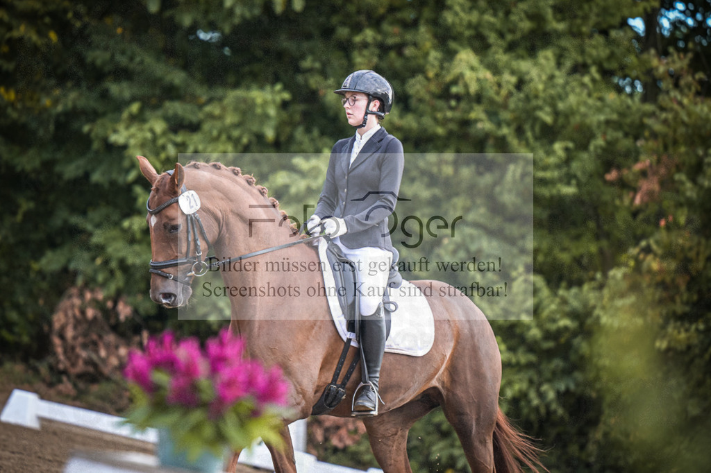 DOS_0311 | Entdecke hochwertige Reitturnierfotos von Foto Oger. Professionell, emotional und authentisch – jetzt Lieblingsmomente im Shop bestellen.Deutschlandweite Turnierfotografie. - Realisiert mit Pictrs.com