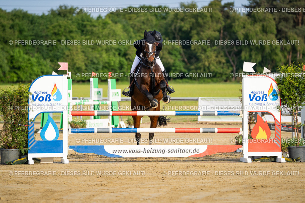 DSC02389 | Pferdegrafie