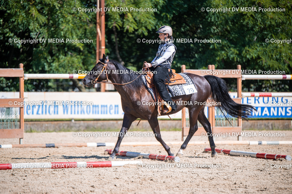 ZS1_0919 | dv-media-shop - Realisiert mit Pictrs.com