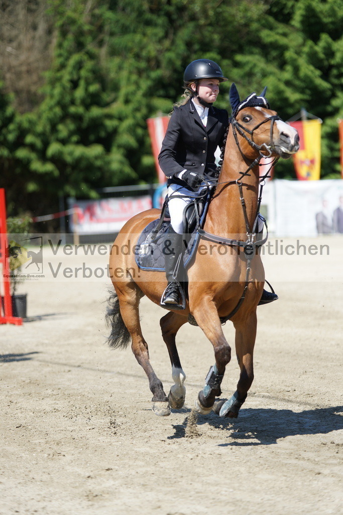 DSC06206 | equestrian-live-com