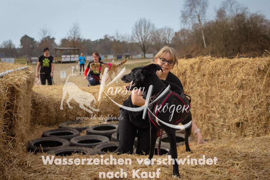 1133_ZZ94290 | kk-dogfotos