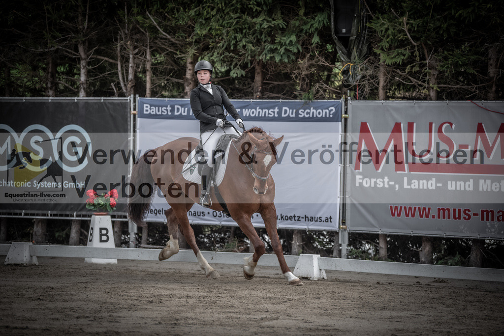 DSC_8896 | equestrian-live-com