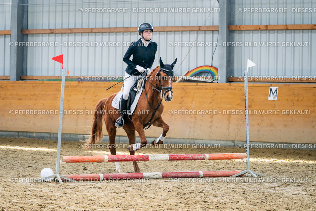 DSC02072 | Pferdegrafie