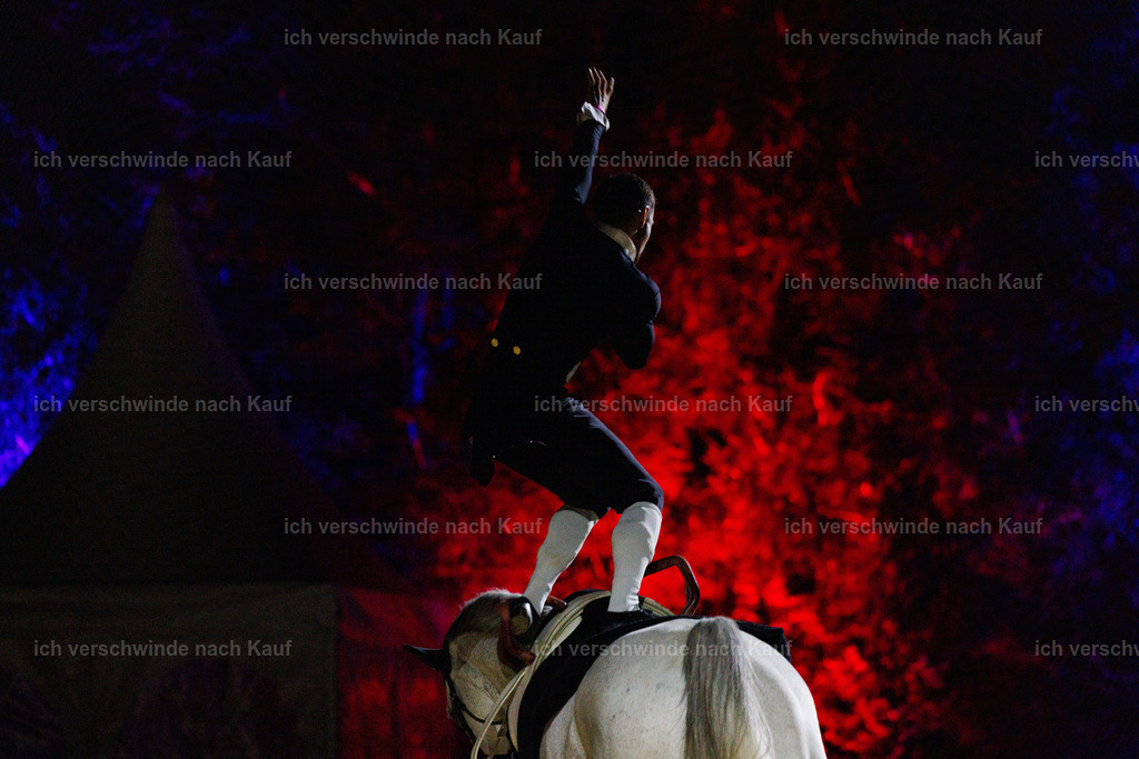 FHClassics-199 | working equitationturnier fotograf videograf stoibphotography marixx film working equitation deutschland reitsport turnierfotografie eventfotografie equestrian events