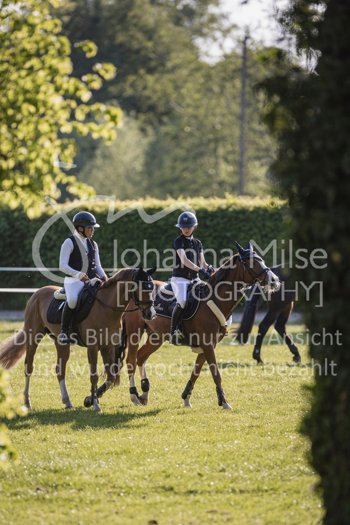 250501_MünsterHandorf_PonyTrophy-303 | Deine schönsten Turniermomente als professionelle Fotos! Entdecke hochwertige Pferdesport-Fotografie im Online-Shop. Jetzt Fotos finden & bestellen!