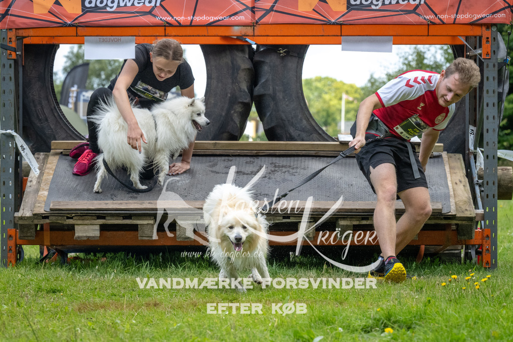 1329_ZZ90065 | kk-dogfotos