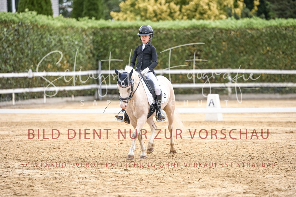 Schugtsche-Aluta25-42.EDressur -384 | Schugtsche Fotografie - Realisiert mit Pictrs.com