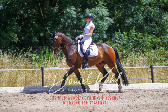 DKP46312 | Turniersportfotografie; Pferdefotografie; Dressurfotografie