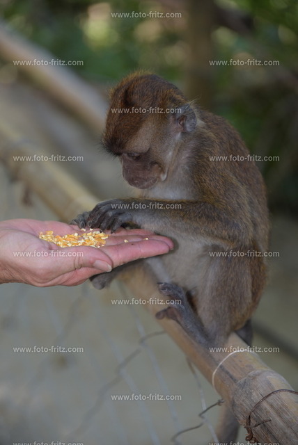 DEZ_0605 | www.foto-fritz.com - Realisiert mit Pictrs.com