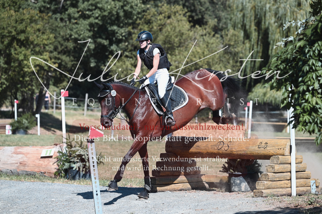 DSC_8533 | Pferde- und Turnierfotografie in Westsachsen. Pferdeportraits, Auftragszeichnungen und intuitive Kunst.