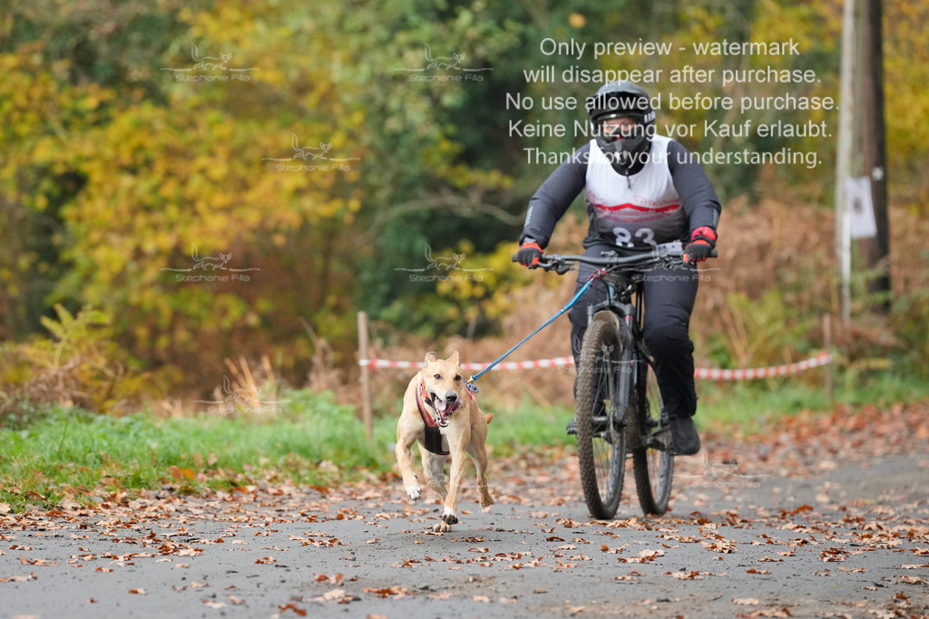 Bike_So-140 | stephaniefillaphotographie - Realisiert mit Pictrs.com