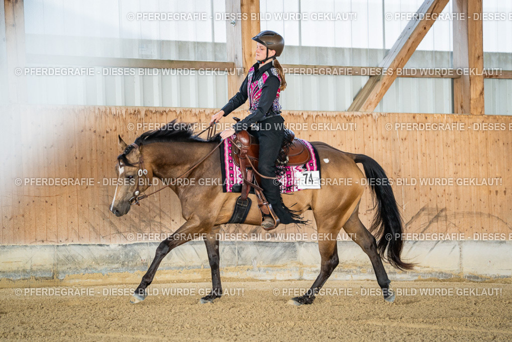 DSC07877 | Pferdegrafie