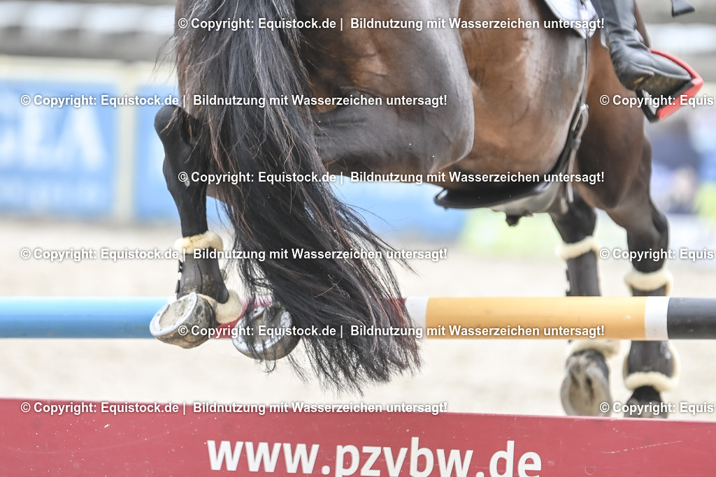 20230514_CCI4_Springen_0273 | equistock