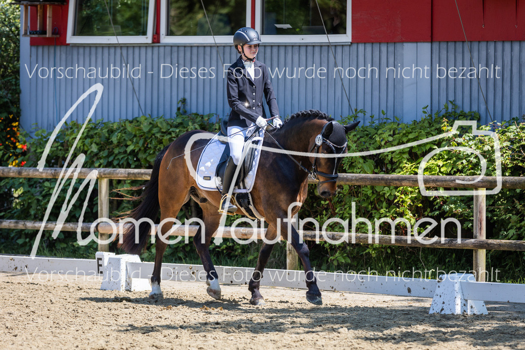 Donop24-RWB-026 | MomenTaufnahmen Pferdesportfotos