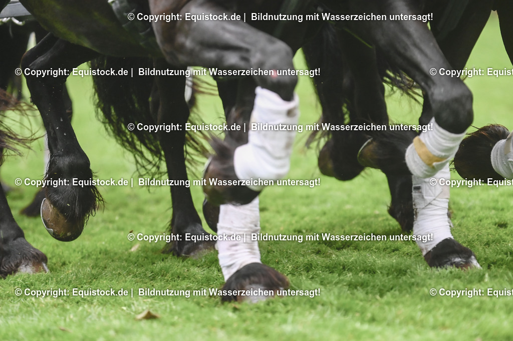 20240517_Lange-Pferdenacht_0196 | Foto: Thomas Hartig