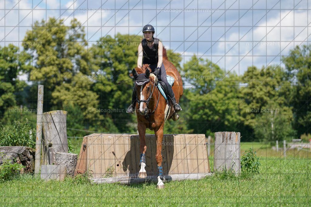 20240622-FAH06882 | Turnierfotografen Bayern, Reitsportbilder aus dem Geländekurs mit Felix Etzel auf dem Gut Waitzacker 2024
