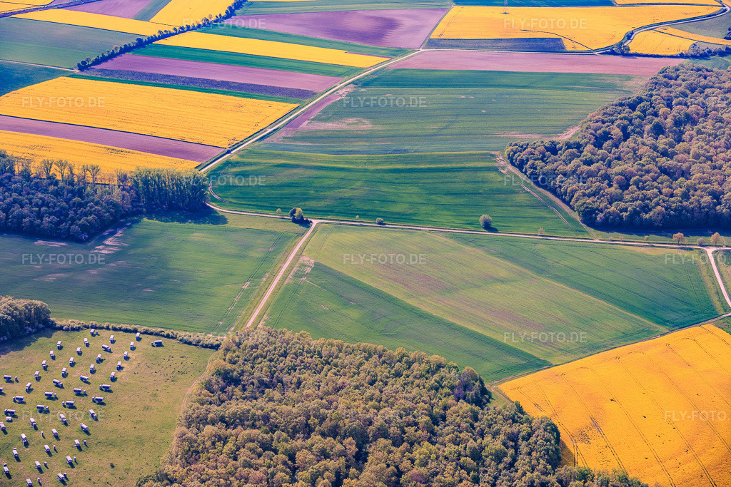 Luftbild: Im Rückbau befindlicher Solarpark Gut Erlasee mit dem Sonnenstand nachgeführten Paneelen im Ortsteil Büchold in Arnstein im Bundesland Bayern in Deutschland. – Foto: IMG_156122.jpg vom 03.05.2026 durch Werner Riehm/FLY-FOTO.de – Auflösung des Originals: 6000 x 4000 px – Photovoltaik Direktinvestment 2026 – 6–8 % Rendite | SunShine