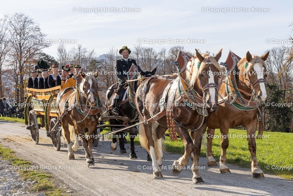 LBT24-1519 | foto-bettina-krinner - Realisiert mit Pictrs.com
