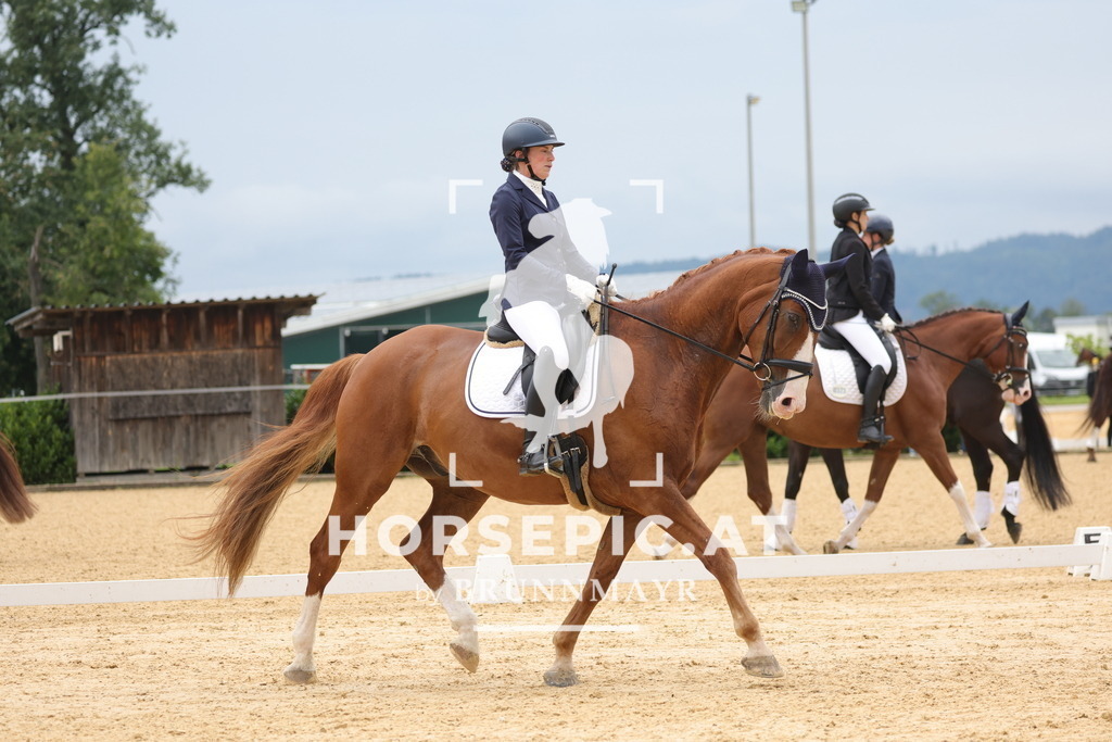 0P6A8640 | Willkommen bei Brunnmayr - Design & Fotografie – Ihrem Spezialisten für Reitturniere und Pferdeveranstaltungen in Oberösterreich, Salzburg und Bayern! Seit über 17 Jahren sind wir leidenschaftlich dabei.