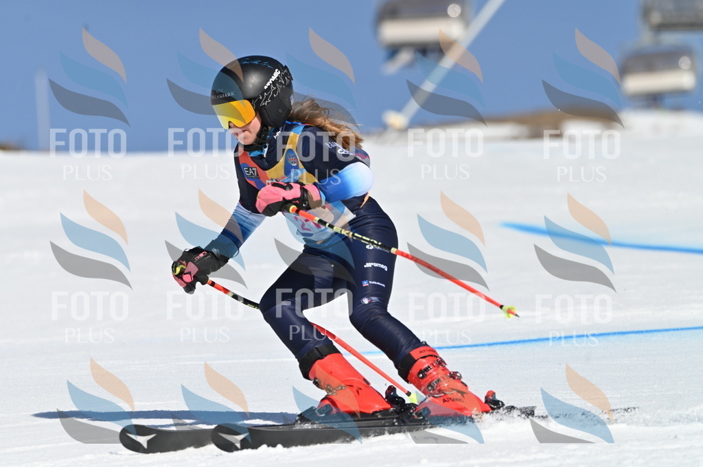 BGV_7962 | holidayphoto