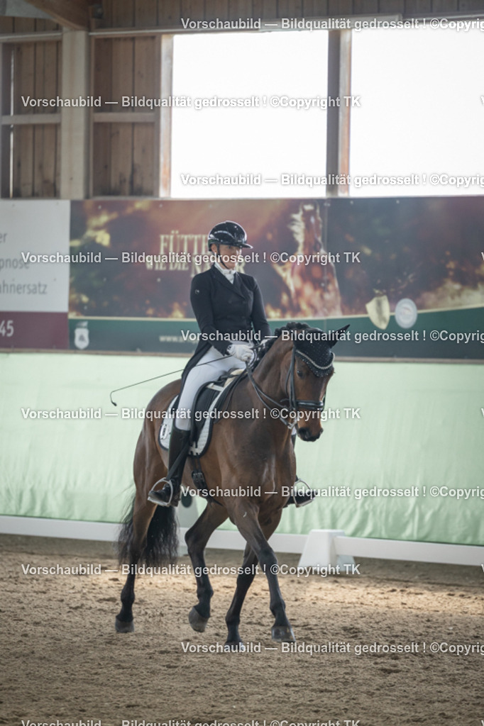 _D5A4817 | Emotionale Pferde- & People-Fotografie rund um Heidelberg, Leimen & Umgebung. Natürliche Fotos von Pferd, Mensch & Familie. Jetzt Termin sichern!