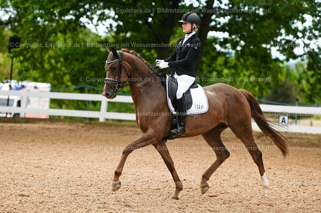20230715_07_Dressurpferdeprfg. Kl.L_0060 | equistock