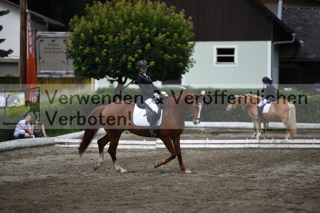 DSC_5112 | equestrian-live-com