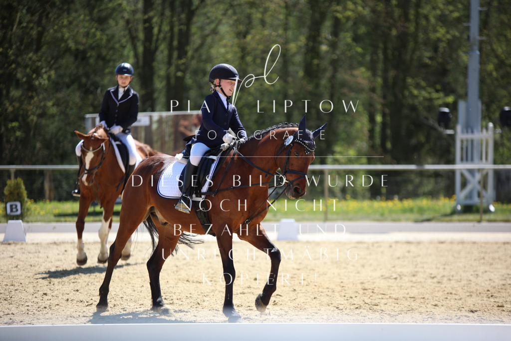 IMGT0821 | pl-fotografie