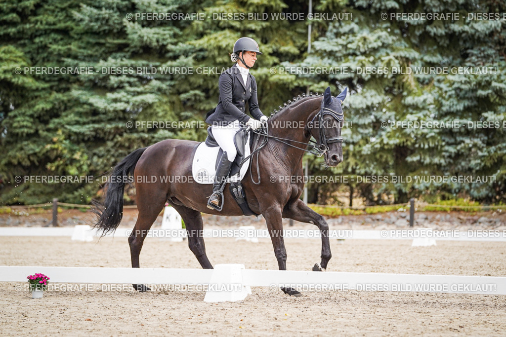 DSC03590 | Pferdegrafie