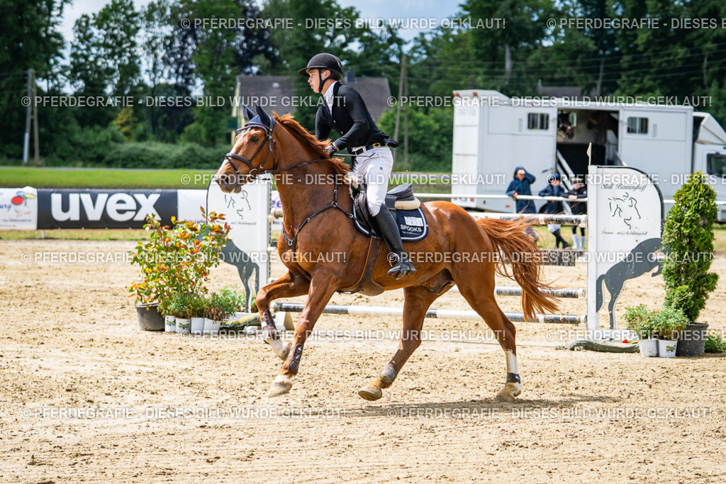 DSC04866 | Pferdegrafie