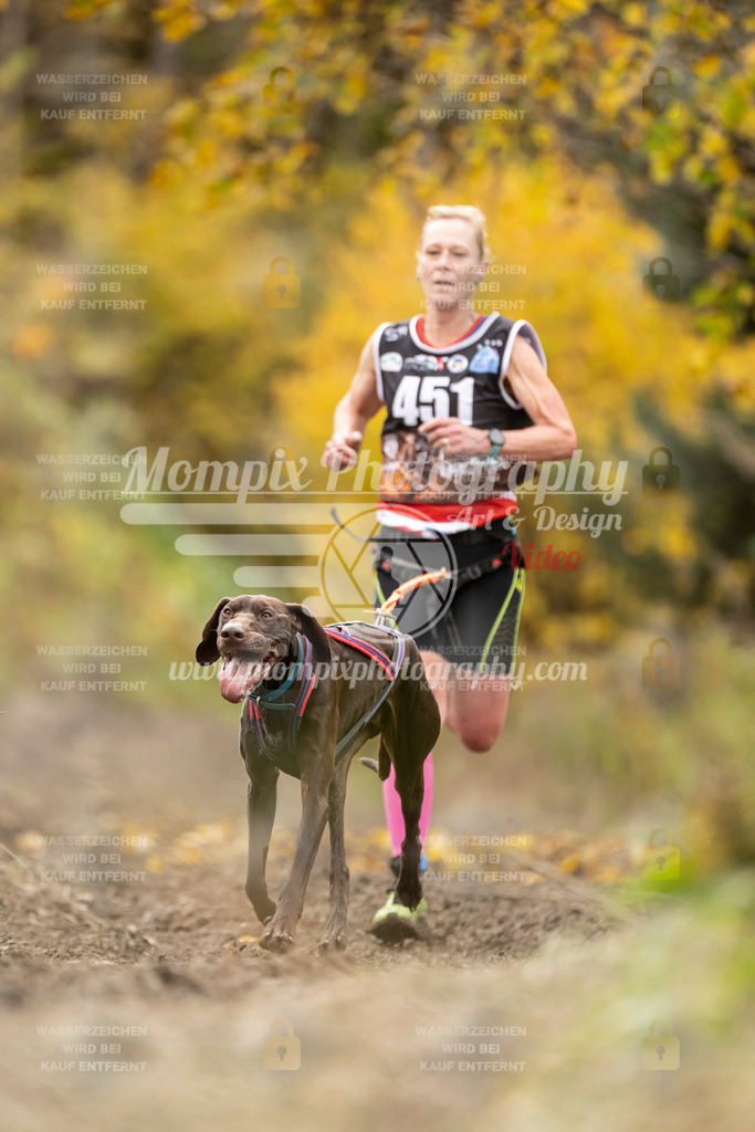 MompixPhotography_ICF_WC_2024_SA_Run_-463 | PayLife