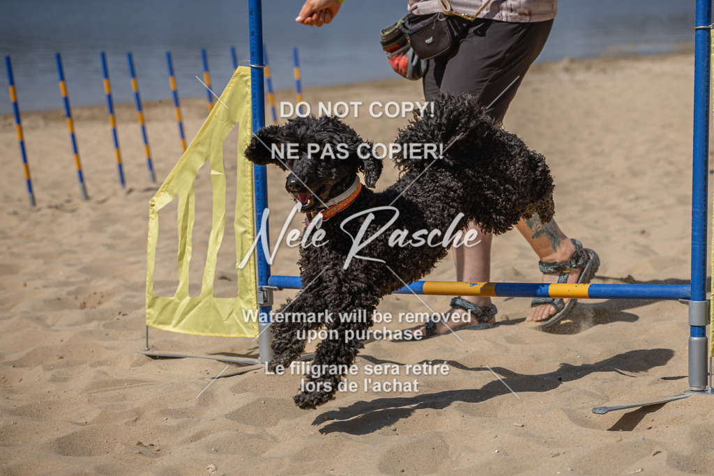 nelerasche_saBeachility_587 | nelerasche