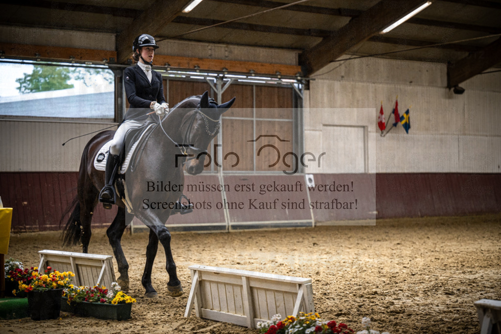 DOS_4123 | Reitturnier Lüdinghausen - Realisiert mit Pictrs.com
