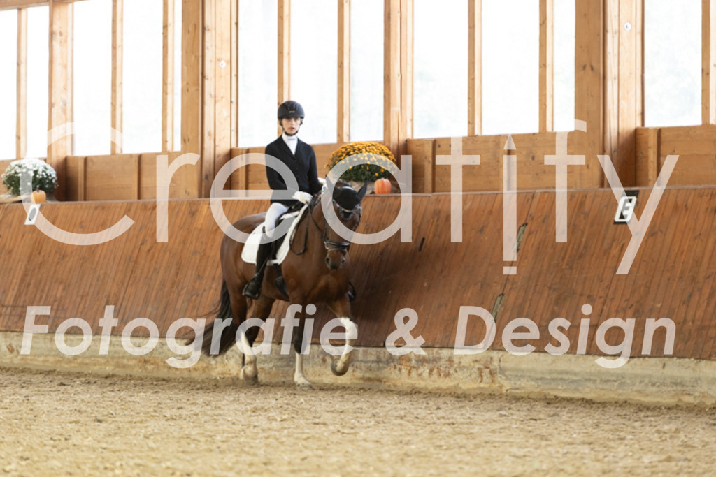 IMG_6066 | Creatify Fotografie