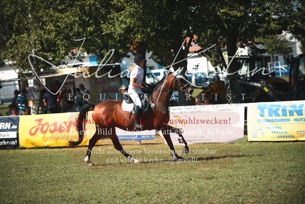 DSC_7170 | Pferde- und Turnierfotografie in Westsachsen. Pferdeportraits, Auftragszeichnungen und intuitive Kunst.
