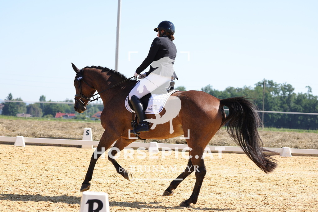 0P6A7523 | Willkommen bei Brunnmayr - Design & Fotografie – Ihrem Spezialisten für Reitturniere und Pferdeveranstaltungen in Oberösterreich, Salzburg und Bayern! Seit über 17 Jahren sind wir leidenschaftlich dabei.