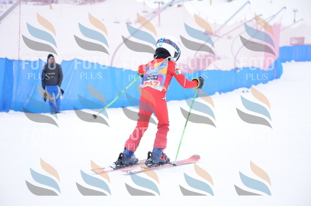 DSC_9381 | holidayphoto