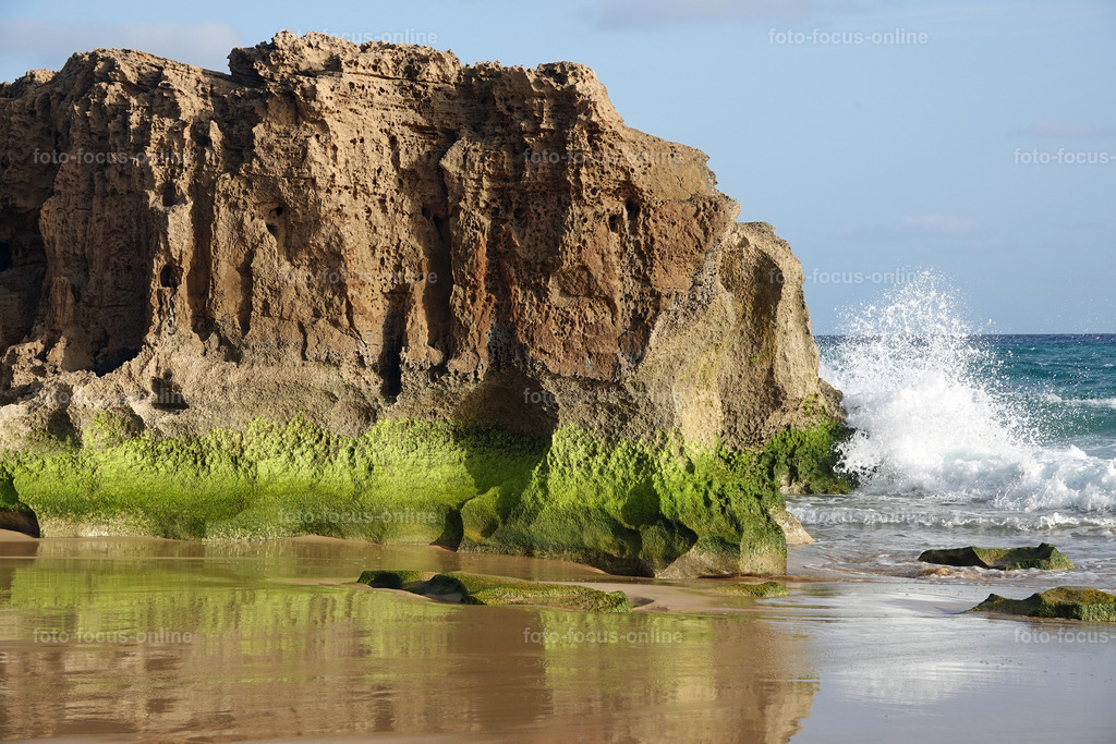 Green beach rocks | Green beach rocks